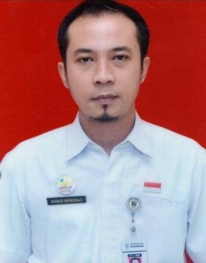 Orta asr jinsiy qalasi